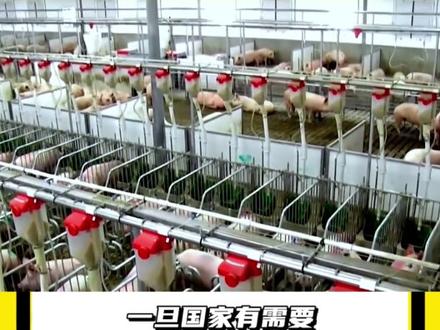 什么是僵尸肉?#僵尸肉 #储备肉