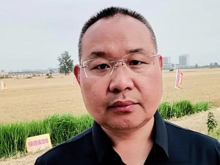 科学使用熏仓药磷化铝#三农