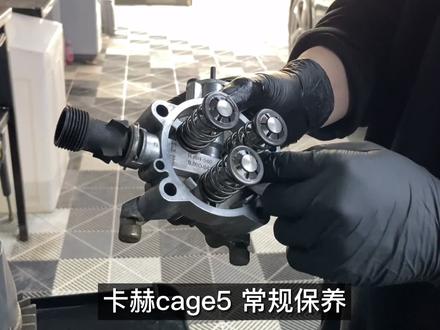 你以为开店那么容易?卡赫CAGE5常规保养#撸车日常 #精洗 #洗车 #karcher德国卡赫
