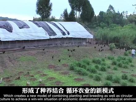 农发基金IPRAD-SN项目,扶持合作社、开展农超对接、支持农企,促进川宁优势特色产业发展,提高农民收入