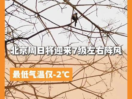 北京周日将迎来7级左右阵风,最低气温仅-2℃