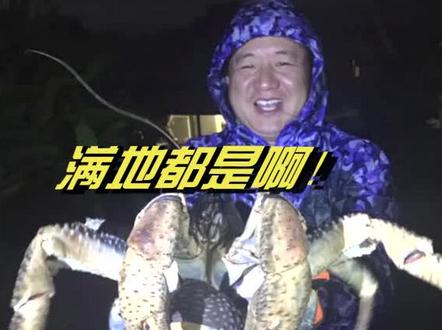 圣诞岛到底有多少椰子蟹?满地都是,太可爱了😆 #钓鱼那些事 #dou出新知