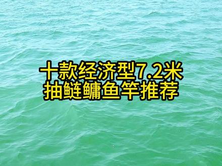 十款经济型7.2米抽鲢鳙鱼竿推荐#钓鱼 #鱼竿 #鱼竿推荐 #鲢鳙鱼竿 #钓鲢鳙 #钓鱼技巧 #新手钓鱼 #分享钓鱼知识 #原来钓鱼才是抖音运动顶流 #鲢鳙鱼竿推荐 #2023dou来钓鱼