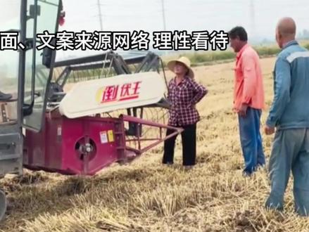 湖北麦收风波:谁对谁错?收割机纷纷绕开?机手:不去!农户:收割价高!#农机 #收割机 #小麦收割