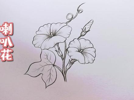 画个大喇叭花~ #绘画 #简笔画