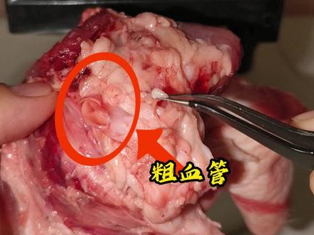 槽头肉的危害 #热点新闻事件