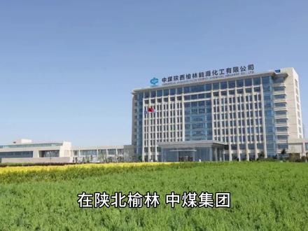 中煤集团介绍#中煤 #企业