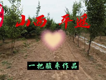 农村农具展示 #农耕文化 #乡愁记忆