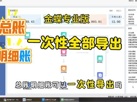 金蝶软件,总账明细账一次性导出表格 金蝶软件,金蝶专业版,总账明细账,如何一次性导出,导出excel表格#金蝶 #合肥金蝶 #财务 #会计 #会计实操