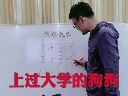 狗狗算术,上过大学的狗狗都会。#训犬 #训犬师 #狗狗 #狗狗的日常 @DOU+小助手 @抖音小助手