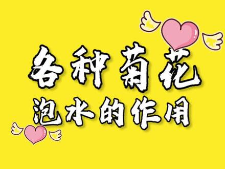 来来来,教你用菊花泡水。#菊花