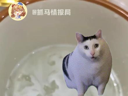 布洛芬急头白脸忙活一阵干成了0件事 真的好心酸!#搞笑 #布洛芬 #离谱 #抽象