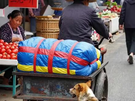 #破次元过新年 #随变AI随便玩 #随变AI合拍也太好玩了吧#AI土狗救婴奇事