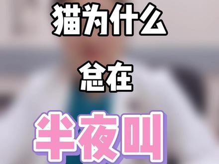 猫咪总在半夜叫,这条视频带你了解猫#创作灵感 #宠物医生 #宠物 #猫 #猫猫