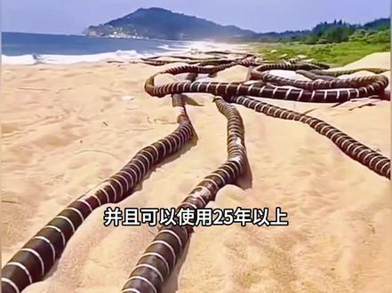 海底光缆是如何铺设的#科普 #涨见识 #科普一下 #海底光缆