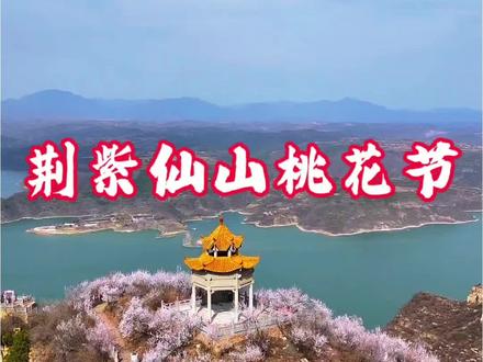 洛阳荆紫仙山一年一度的桃花节已经开幕,满山遍野的桃花太漂亮了,正是踏春旅游的最佳之地!!!#洛阳相当适合旅游了#请你看花#风起黄河桃醉仙山#这么近那么美荆紫山桃花醉