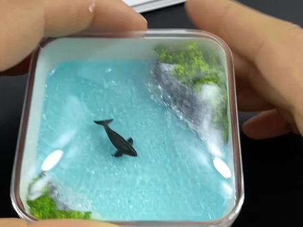 海洋微景观制作过程#手工#海洋 #微景观