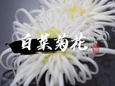 这样的白菜吃起来会更好吃吗?白菜菊花雕刻教学。#果蔬雕刻 #烹饪艺术 #食品雕刻 #艺术