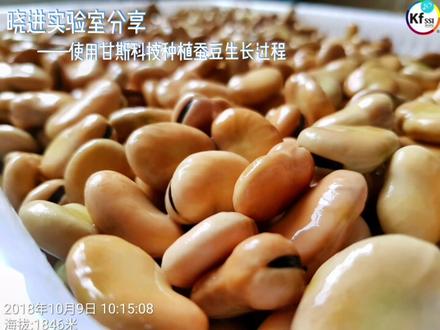科技改变世界,甘斯(GANS)引领农业,打造新款型健康农业,构建绿色天然生活。#碳中和 #绿色生活 #知识分享 #现代农业