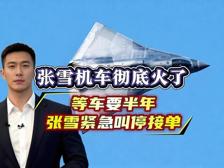 张雪机车彻底火了,等车要半年,张雪紧急叫停接单 #军事科普 #军迷发烧友