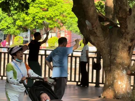 我决定了,520这一天,我一定要出车去感受感受爱情的苦。
现在好了,
我被追尾了,
在线等,我究竟该要多少误工费呢?