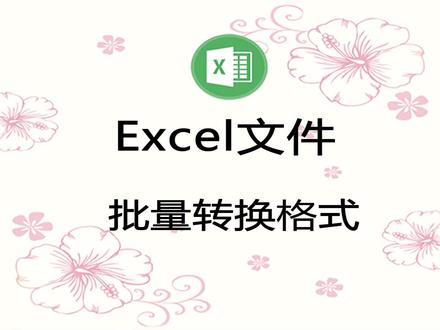 对Excel文件批量转换格式,高版本和低版本相互转换,可转换为PDF