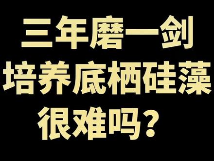 #抖音助农 #海参养殖 #知识分享 #新农人计划 #经验分享 我从16年开始研究培养底栖硅藻,也用过市面上绝大多数CP,效果都不理想,只能花费三年时间改进原有的硅藻营养元!