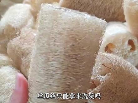 丝瓜络只能用来洗碗吗?格局打开! 作为实力超群的天然材料,建筑、化学、医学等领域都有它的身影!@央视三农 #植物#科普 #环保