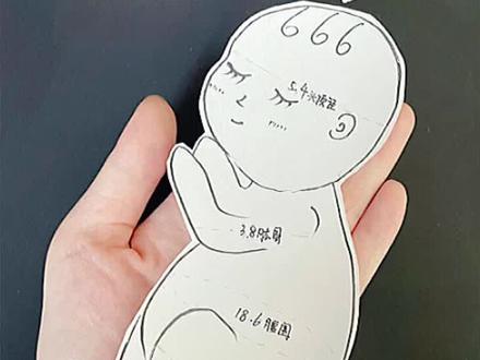 29周的崽,跟着我一起来画胎宝宝吧~#根据B超画宝宝 #一个身体两个心跳 #孕期记录