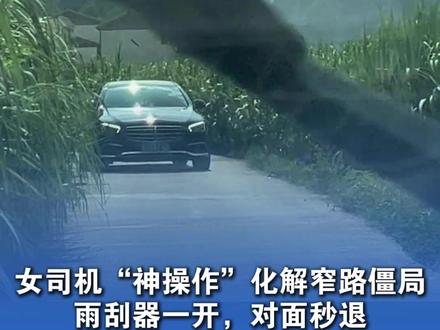 女司机“神操作”化解窄路僵局,雨刮器一开,对面秒退,对面司机:我真服了,开雨刮器吓我干啥(感谢@A-麓 )#女司机 #搞笑 #社会百态