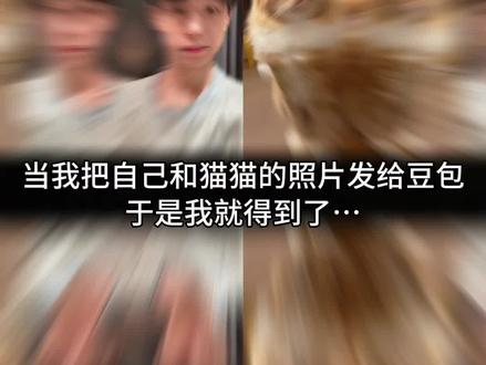好有爱好喜欢,与猫咪相拥合照ai指令 教程来啦!#豆包p图指令宠物合照指令 ai生成自己和宠物的合照#和宠物合 合照教程来啦!和自家萌宠合照!#豆包P图指令#和宠物合照#豆包ai
