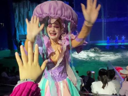 哈尔滨极地馆又来搞事情了 #哈尔滨极地公园