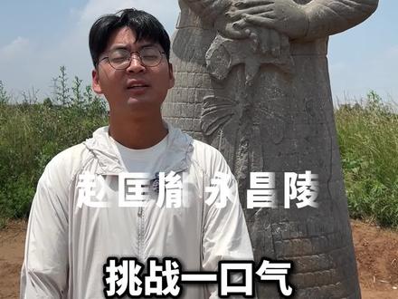 一口气看懂北宋七帝八陵 赵匡胤永昌陵讲解 一口气看懂北宋七帝八陵 赵匡胤永昌陵讲解#赵匡胤永昌陵 #洛阳旅游 #巩义 #巩义宋陵 #郑州