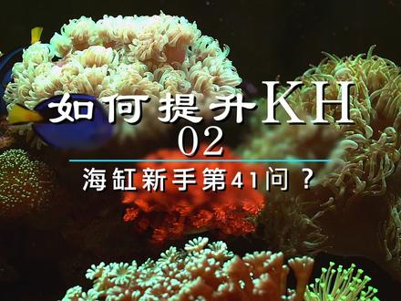 海缸如何提升KH,欢迎大家补充,学到了点个赞吧#水族 #海缸 #珊瑚缸 #知识分享 @DOU+小助手