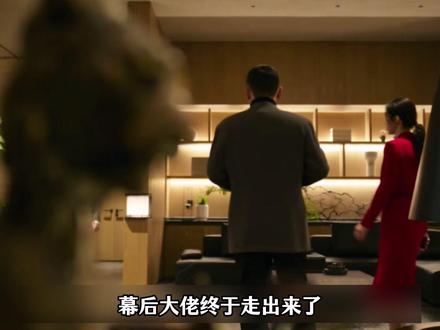 幕后大佬终于走出来了,你认出他是谁了吗?#罚罪2 #好剧推荐 #因为一个片段看了整部剧 #抖音二创激励计划 #罚罪2永远猜不到谁下线