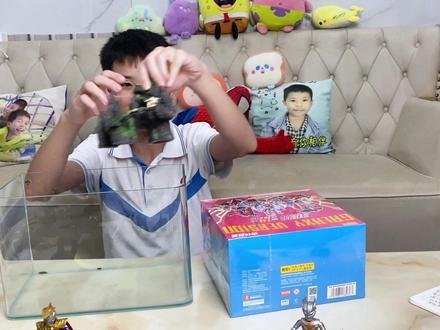 用奥特曼给鱼缸布景,这效果太好了,家里意外闯入不明生物 #布鲁可积⽊⼈ #布鲁可奥特曼 #手工制作