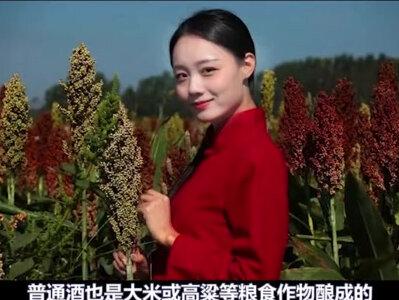 西游记中的素酒是什么?唐僧为什么能喝?#科普 #西游记