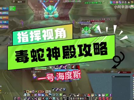 毒蛇神殿攻略指挥视角一号海度斯 #魔兽世界时光服 #毒蛇神殿攻略