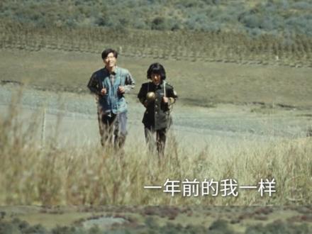 #生命树 捡来的记者邵云飞走了,白椿已速归。好好好,我倒要看看哥哥怎么又争又抢#杨紫 #周游 #生命树杨紫守护高原绝境