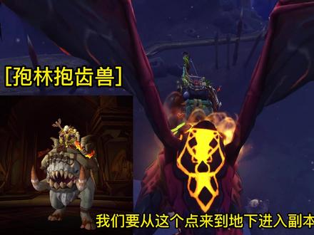 3只稀有坐骑,墓穴猎手,地渊孢林,鲨鱼饵 #一起玩游戏 #游戏解说 #魔兽世界 #魔兽 #魔兽坐骑 #wow