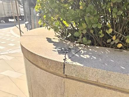 国产积木拼搭:幽灵特种部队#乐高 #积木 #幽灵特种兵 #特种兵 #军事玩具