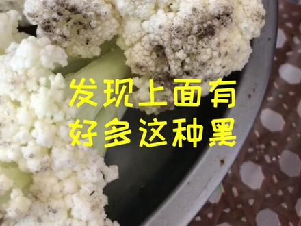 小朱带您了解菜花表面发黑了是怎么回事儿 #三农 #抖音小助手