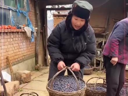 无核黑枣柿枣软枣小柿子#好物推荐🔥