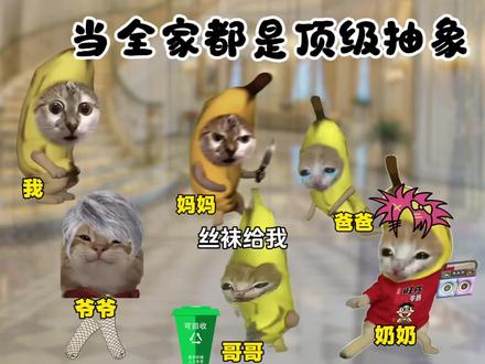 当全家都是顶级抽象 #猫meme#搞笑#抽象#小说#精神状态belike