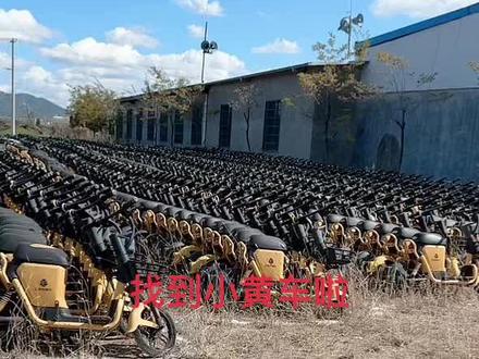 消失的小黄车原来在这里