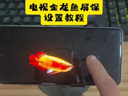 《富足资源》
电视养鱼教程来啦 #鱼缸 #养鱼 #电视养鱼教程 #电视屏保 #小米电视金龙鱼屏保下载
电视养鱼、电子养鱼、龙鱼、金龙鱼、钓鱼、鱼、金龙鱼电视屏保教程 电视、tcl电视