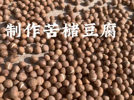 制作苦槠豆腐 #特色农产品 #分享家乡特产 #自制 #制作过程 #真材实料