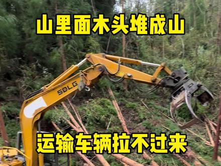 木头堆成山光头强和运输车辆跟不上我的节奏#挖挖机的日常 #挖掘机 #挖掘机工作第一视角视频 #挖机视频 #抓木机