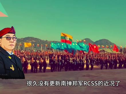 缅甸民族武装之 南掸邦军#缅甸掸邦