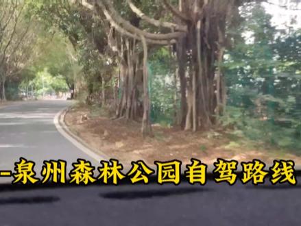 泉州森林公园,避开拥挤人群,免费停车路线,一镜到底。